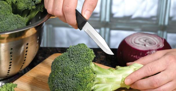Rada Cutlery S01 Paring Knives Galore Set Plus Quick Edge Knife Sharpe —  CHIMIYA