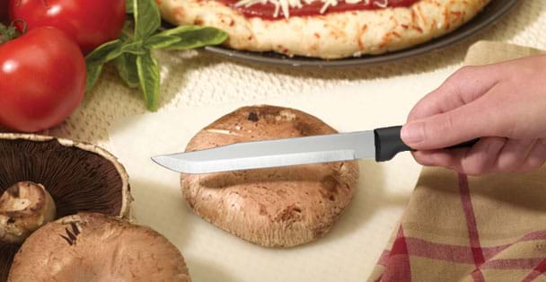 Rada Cutlery G206 6-Utility Steak Knife Gift Set Plus R119 Knife Sharpener