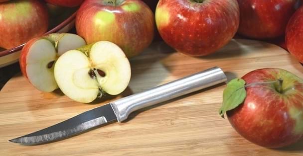 Rada 2 pc Set Vegetable Peeler and Heavy Duty Paring Knife (Silver