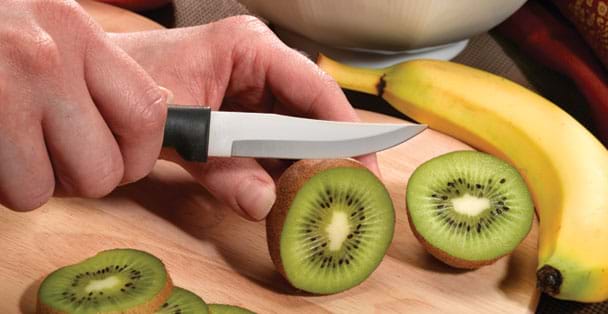 Rada Cutlery Regular Serrated Paring Knife – Stainless Steel Blade with Stainless Steel Resin Handle, 6-3/4 Inches