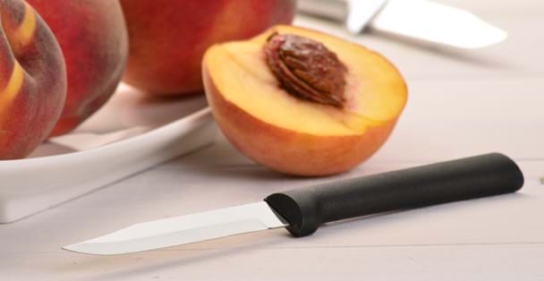 RADA Prepare Then Carve Carving Knife Gift Set With Knife Sharpener